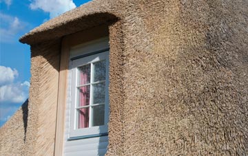 Monkleigh thatch roof disadvantages
