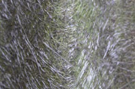 Monkleigh fibreglass roof work